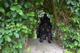 elite-forces-3-v2 elite-forces-3-v2